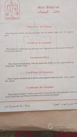 stampe su papiro documentate. 