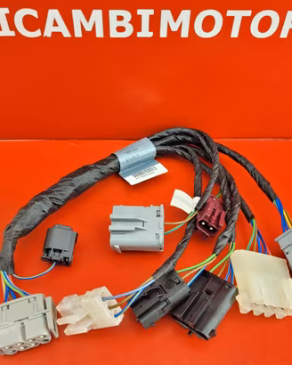 CABLAGGIO X ACCESSORI BMW C1 125 200