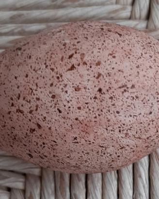 Uovo finto di falco sacro in scultura di argilla