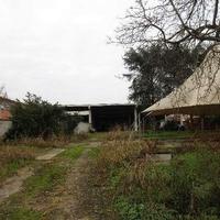 RGE 196/2024 Trib Pavia - LOTTO 3