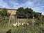 Immagine 22