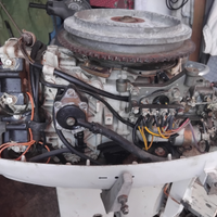 Motore johnson 25 cv