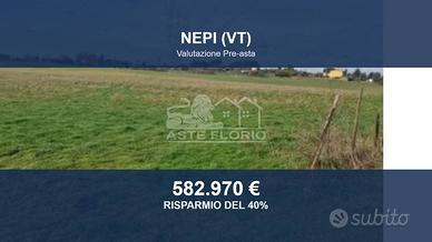Immobile in asta di 746300 m² a Nepi