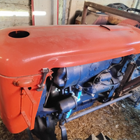 Vendita 2 same puledro con attrezzi