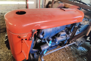 Vendita 2 same puledro con attrezzi