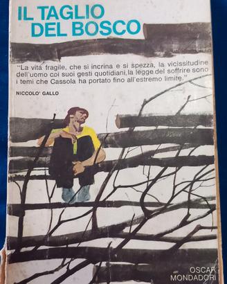 il taglio del bosco