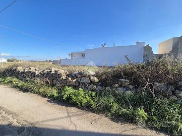 TER. AGRICOLO A MANDURIA