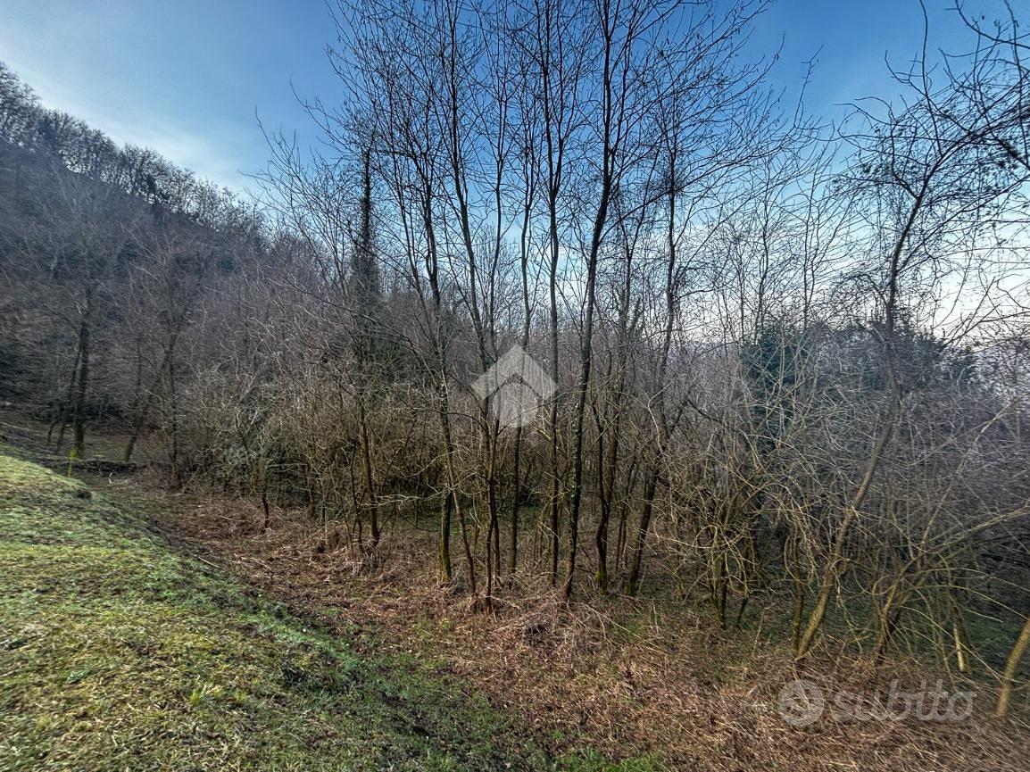 TER. AGRICOLO A LIERNA - Altro