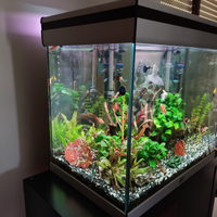 Acquario acquatlantis 100L