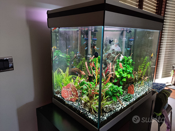 Acquario acquatlantis 100L
