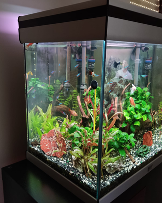 Acquario acquatlantis 100L