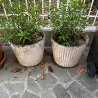 Vasi in cemento ghiaia