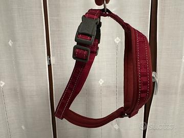 Pettorina cane   Hurtta guinzaglio collare