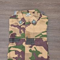 Mimetica Desertica Iraq