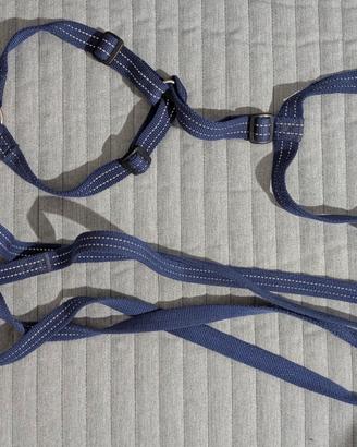 Pettorina Haqihana taglia M + guinzaglio