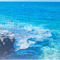 Caraibi del salento 2026