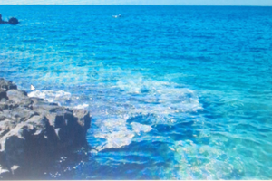 Caraibi del salento 2026