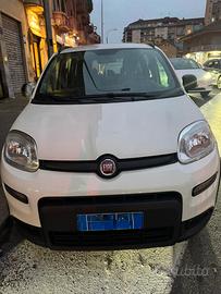 Panda 3 serie city life