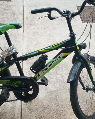 bicicletta Zecchini 