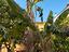 Immagine 24