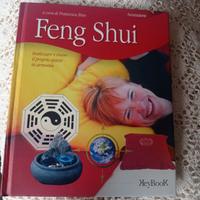 libro di feng shui