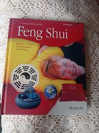 libro di feng shui