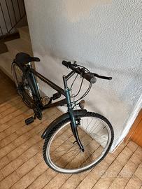 bici da uomo 