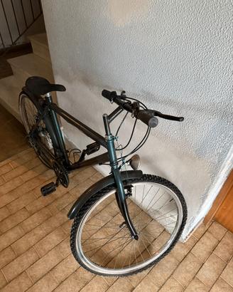 bici da uomo 