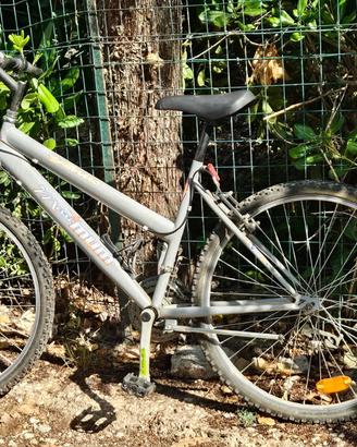 Bici Mountain Bike Maxum