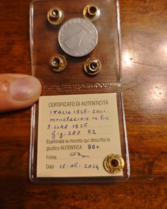 5 Lire 1956 Delfino R2 - Periziata BB+