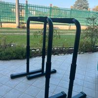 Parallele palestra