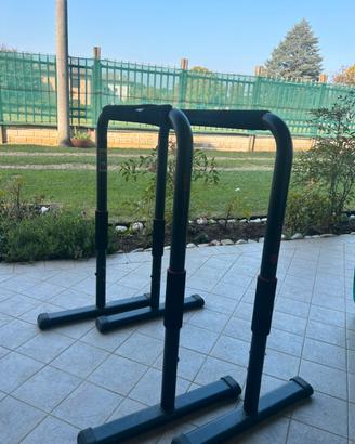 Parallele palestra