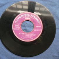 Liebelei-Wo di Wolga fliesst Rolf Bauer