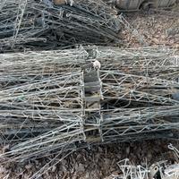 Braccetti vigneto GDC