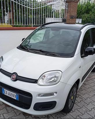 Fiat Panda 1.2 Lounge YOUNG Benzina