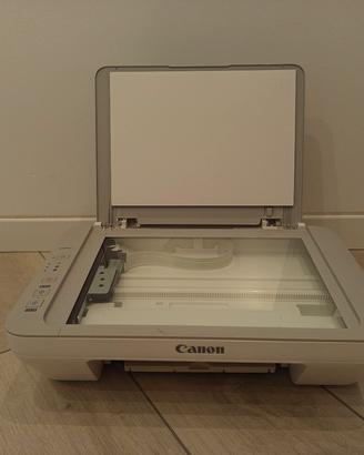 Stampante Canon MG2450 