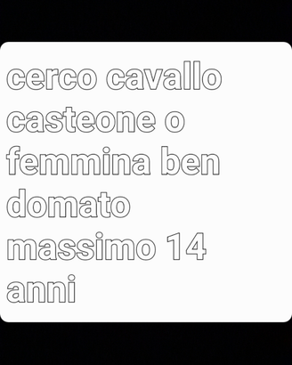 Cavalli