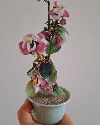 bonsai decorativo 