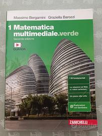 Matematica multimediale verde 1