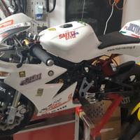 Minimoto DM