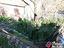 Immagine 14