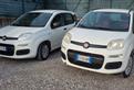 Fiat Panda 1.0 FireFly S&S Hybrid City Cross