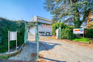 Ufficio Collegno [Cod. rif 3322323ACU] (Paradiso)