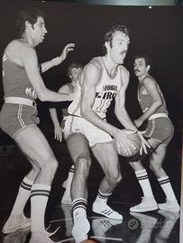 foto d'archivio collezione MENEGHIN PALLACANESTRO