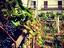 Immagine 3
