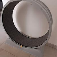 Ruota da corsa per gatti