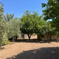 Rustico con 8.500 mq e 210 ulivi a Pachino/Sicilia