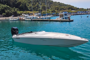 Gagliotta Caraibi, Mercury Verado 300 hp Carrello 
