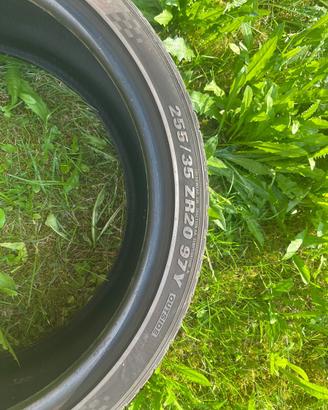 Gomme estive