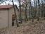 Immagine 12